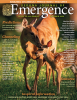 Sedona Journal of Emergence September 2024